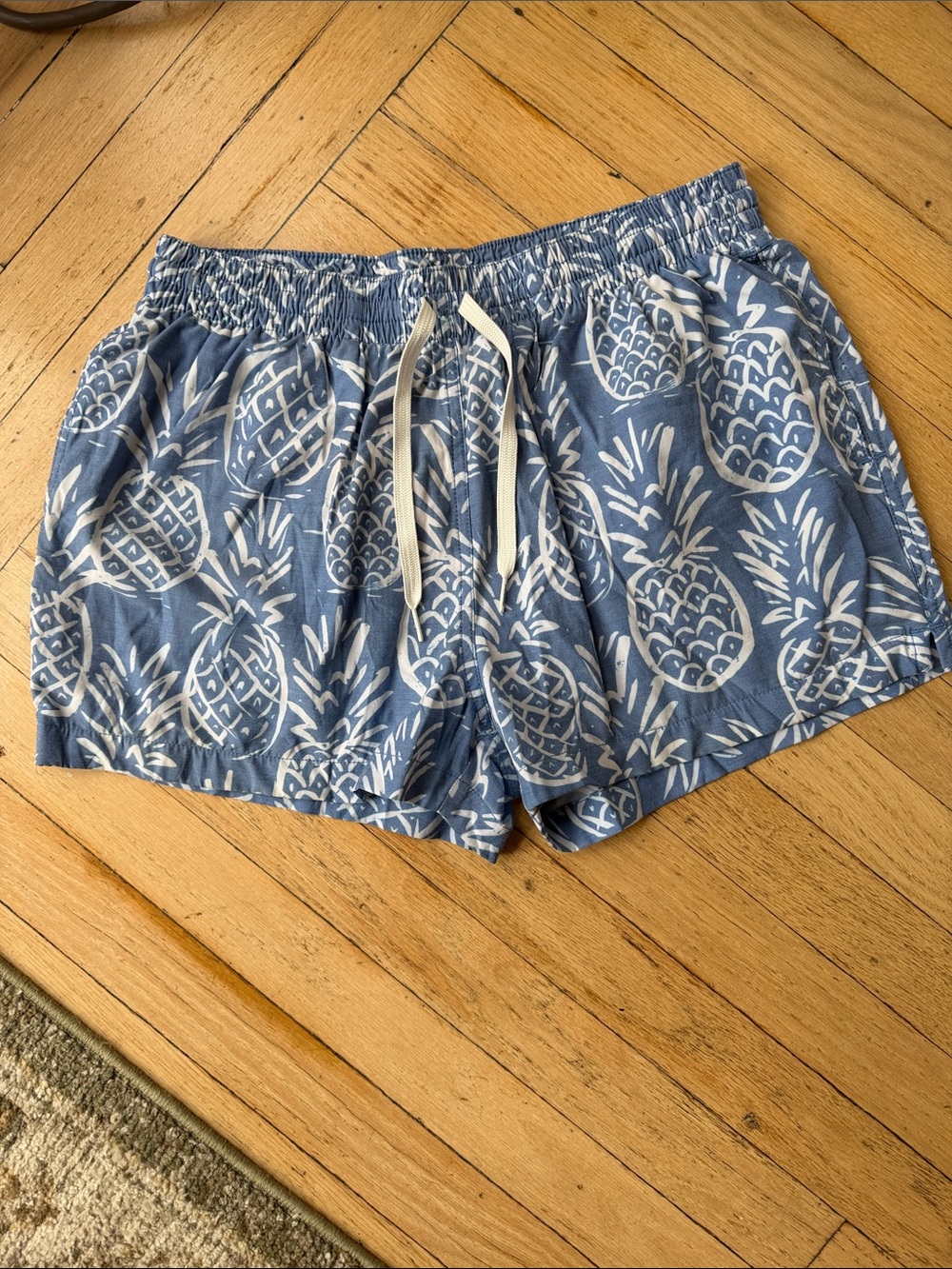chubbies Blue Shorts with White Pineapple Print